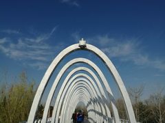 -大兴滨河森林公园