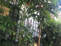 -豆舞咖啡(民乐路店)
