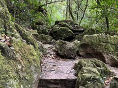 -普者黑风景区-青龙山