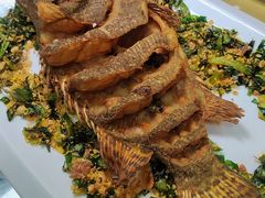 -沪依小酒馆心意菜