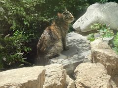 -舜耕山庄四时万和自助餐厅