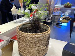 -野人牧坊Gelato(天津南开大悦城店)