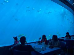 -瑞德姆美人鱼海底演艺主题餐厅(亚龙湾店)