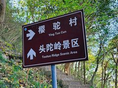 -紫金山山顶公园