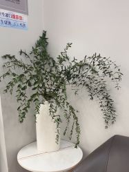 -YESIDO椰岛造型
