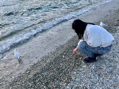 -Patagonia Chocolates(皇后镇店)