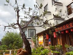 -头上红煨盐鸡·非遗院子餐厅