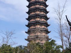 -葛仙湖公园