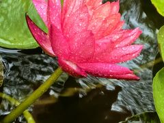 -海淀公园
