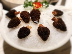 羊肚菌-汤城·料青山