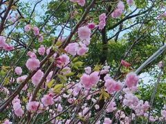 -观澜湖生态运动公社