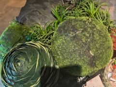 -艺水间水汇