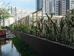 -新加坡文华东方酒店