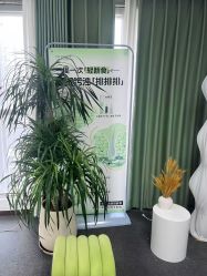 -凡碧诗毛孔清洁收细