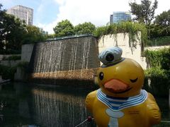 android_upload_pic-上海外滩茂悦大酒店