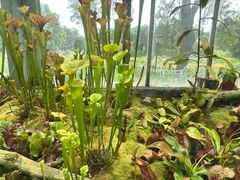 -国家植物园南园