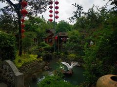 -青城甲(青城山店)