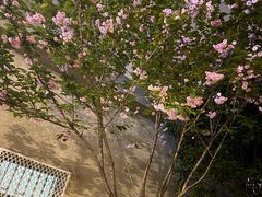 -霖公馆SPA·足道(普善路店)