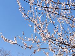 -三里河公园