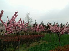 -西安汉城湖景区
