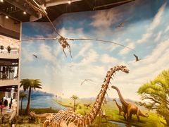 -辽宁古生物博物馆