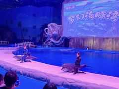 -华夏文旅海洋公园