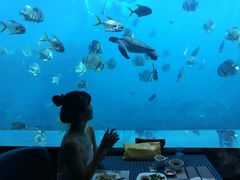 -瑞德姆美人鱼海底演艺主题餐厅(亚龙湾店)