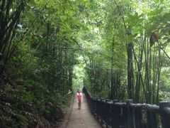 -沐川竹海旅游景区