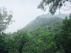 -阳台山自然风景区