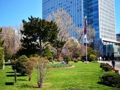 -北海道厅旧本厅舍(旧本庁舎)