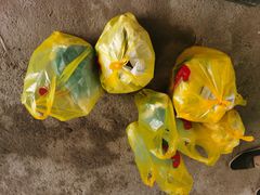 -马陆小张葡萄园农家乐