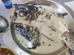 湘潭活鱼-新新湘菜馆(新中街二条店)