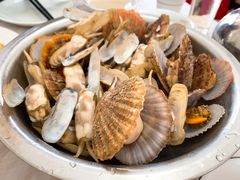 扇贝&nbsp;蛏子-宾朋海鲜美食餐厅·特色美食(兴海路店)