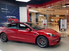 -TESLA 特斯拉(郑州正弘城体验店)