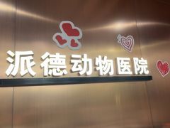 -pd派德宠物中心医院24H急重症·眼科中心·血液透析中心(嵩山北路店)
