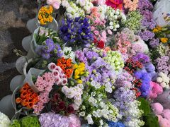 -双季花艺园艺市场(浦东店)