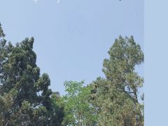 环境-黄河小浪底水利枢纽风景区