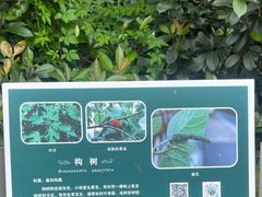 -福道