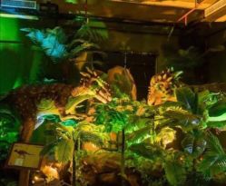 -恐龙探索乐园(磁器口店)