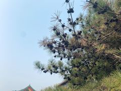 -盛世南宫影视城(北普陀影视城)