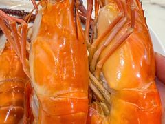 -品鲜村农家菜·阳澄湖大闸蟹(总店)