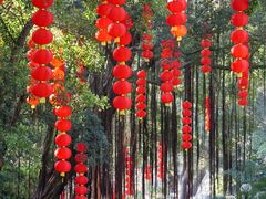 -晓港公园