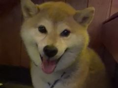-猫员外精酿啤酒馆(聚豪园店)