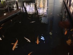-Waterfall瀑布湾优健源(华侨城店)