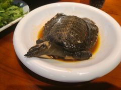 香辣甲鱼-肚子铺羊蝎子火锅