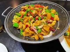 -新概念东北菜(场北店)