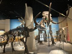 -国家自然博物馆