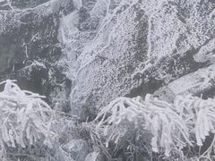 -金子山原生态旅游风景区