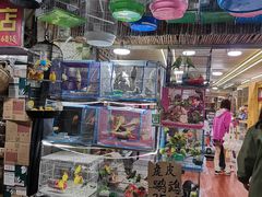 -溪岸路花鸟市场