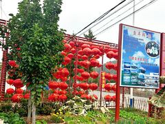 -龙福源密云水库灶台鱼